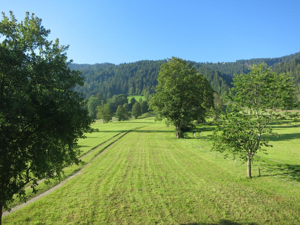 Ferienwohnungen Marchanger ニーデラウ エクステリア 写真