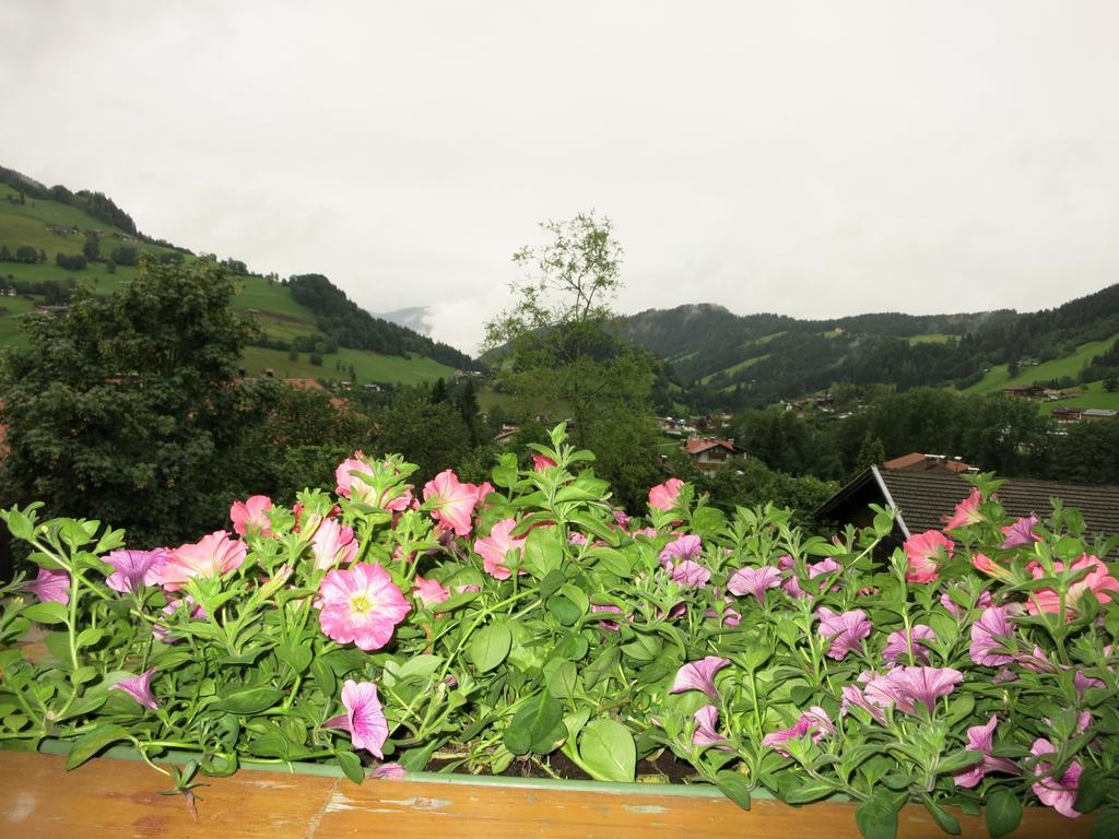 Ferienwohnungen Marchanger ニーデラウ 部屋 写真