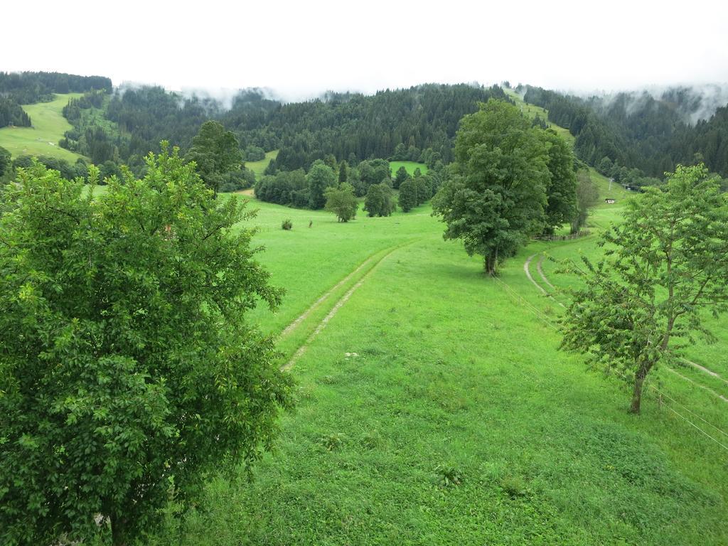 Ferienwohnungen Marchanger ニーデラウ 部屋 写真